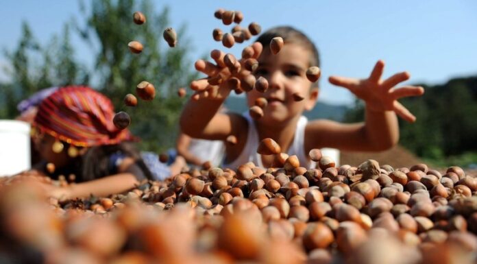 Hunger and Child Labor
