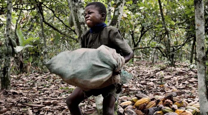 Açlık ve Çocuk İşçiler