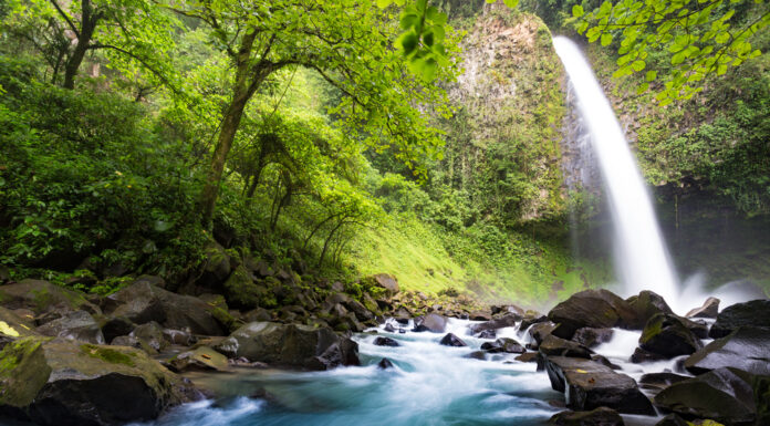 Water Usage and Awareness